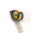 Moondrop Moca coffee IEM TWS z ANC - 1474170 - zdjęcie 4